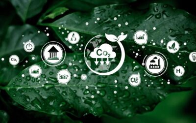 Ecommerce Carbon Accounting and Sustainability Reporting Explained