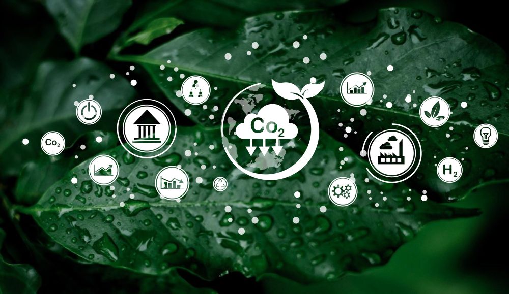 carbon accaunting carbon reporting graphic